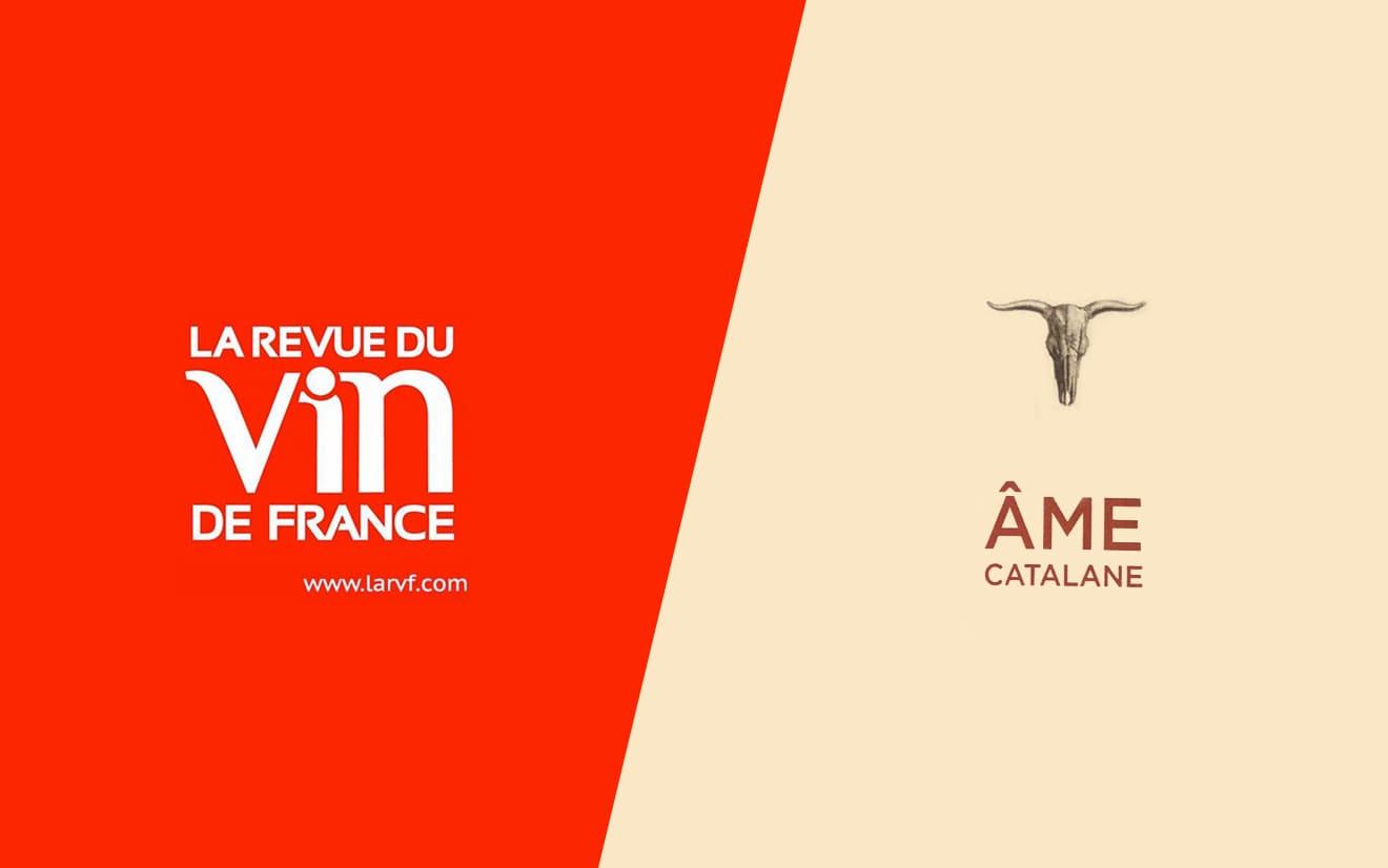 agence digital spiriteux